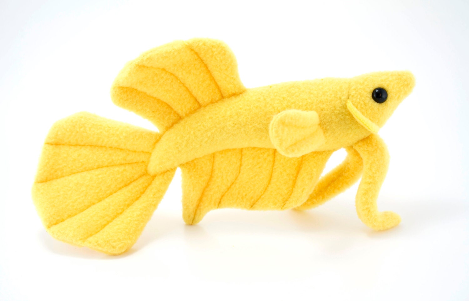 star fish teddy