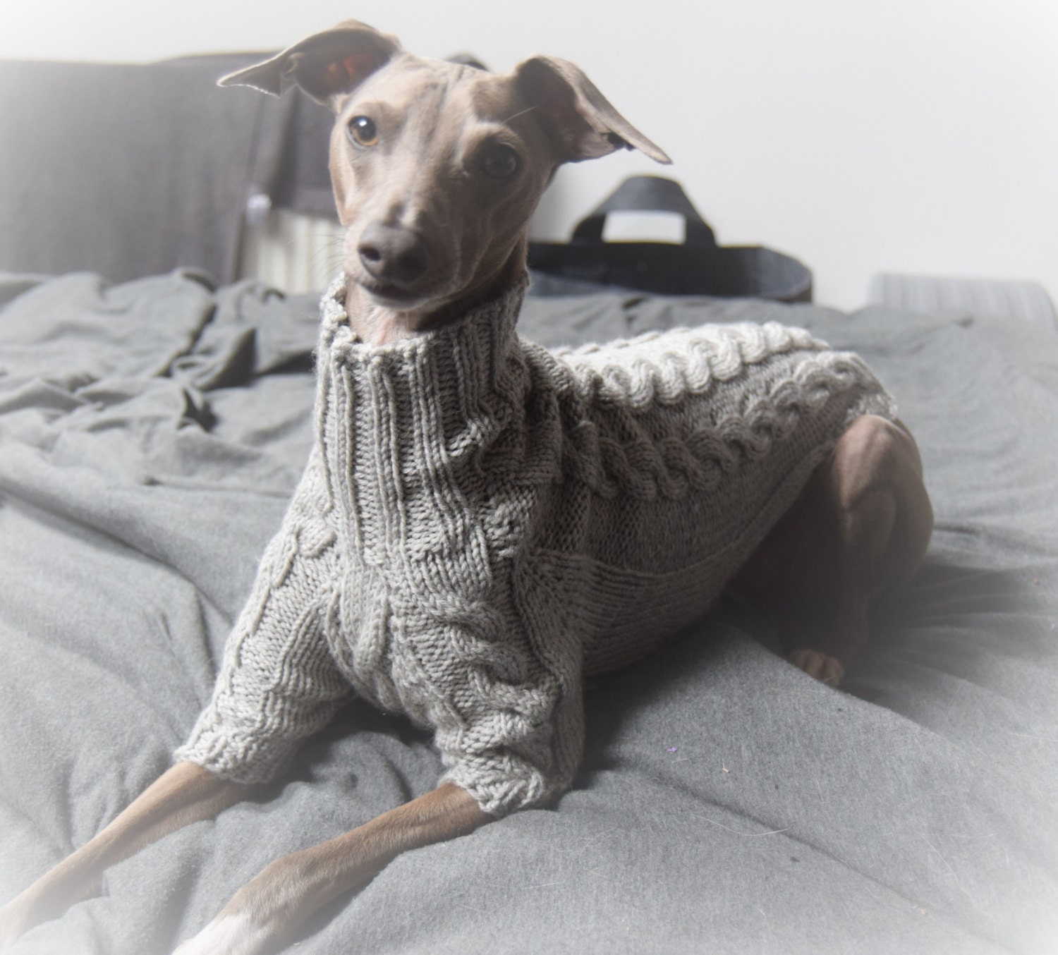 Luxury Cabled Italian Greyhound Sweater Medium Superwash Wool