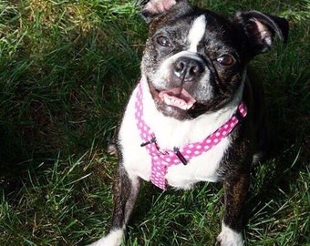 Dog harness - Adjustable Dog Harness - You pick the fabric print
