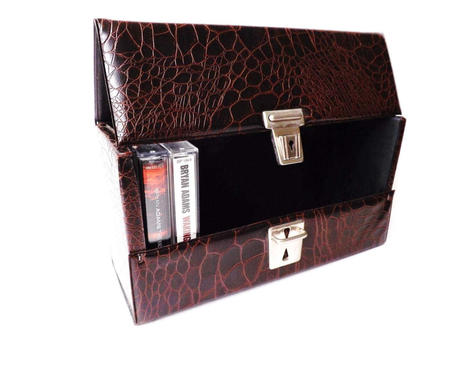1960s Retro Audio Cassette Tape Storage Case, Faux Crocodile Cassette