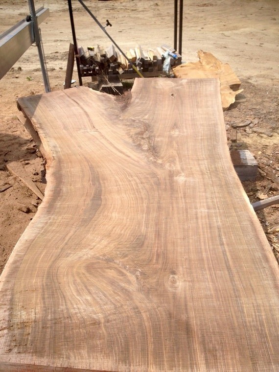 Live edge walnut slabs between 3'3 and 5'5 wide by LogHunterLLC