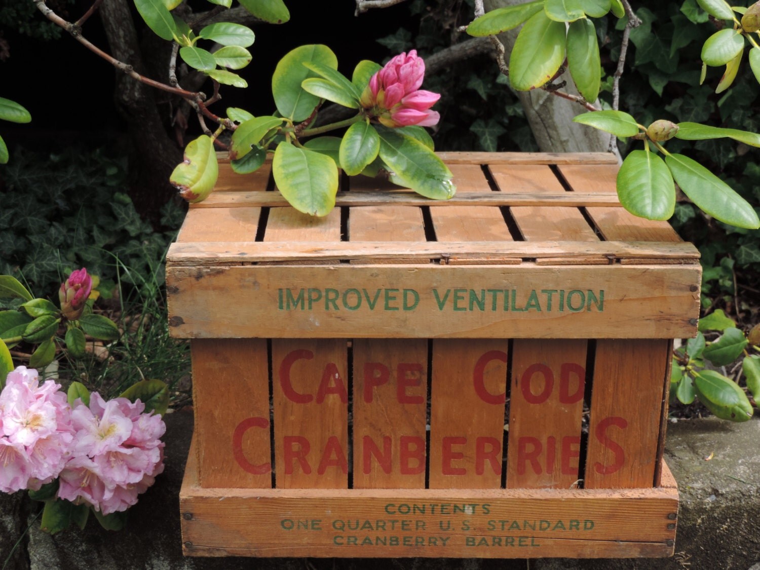 Vintage Cape Cod Cranberries Wood Crate Country Cottage