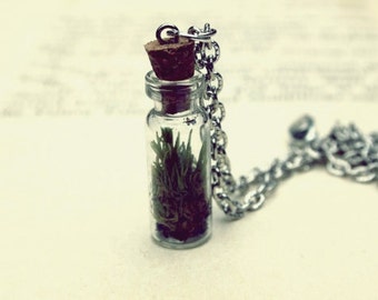 live moss terrarium necklace - choose your chain length and color // living jewelry // live terrarium necklace // customizable