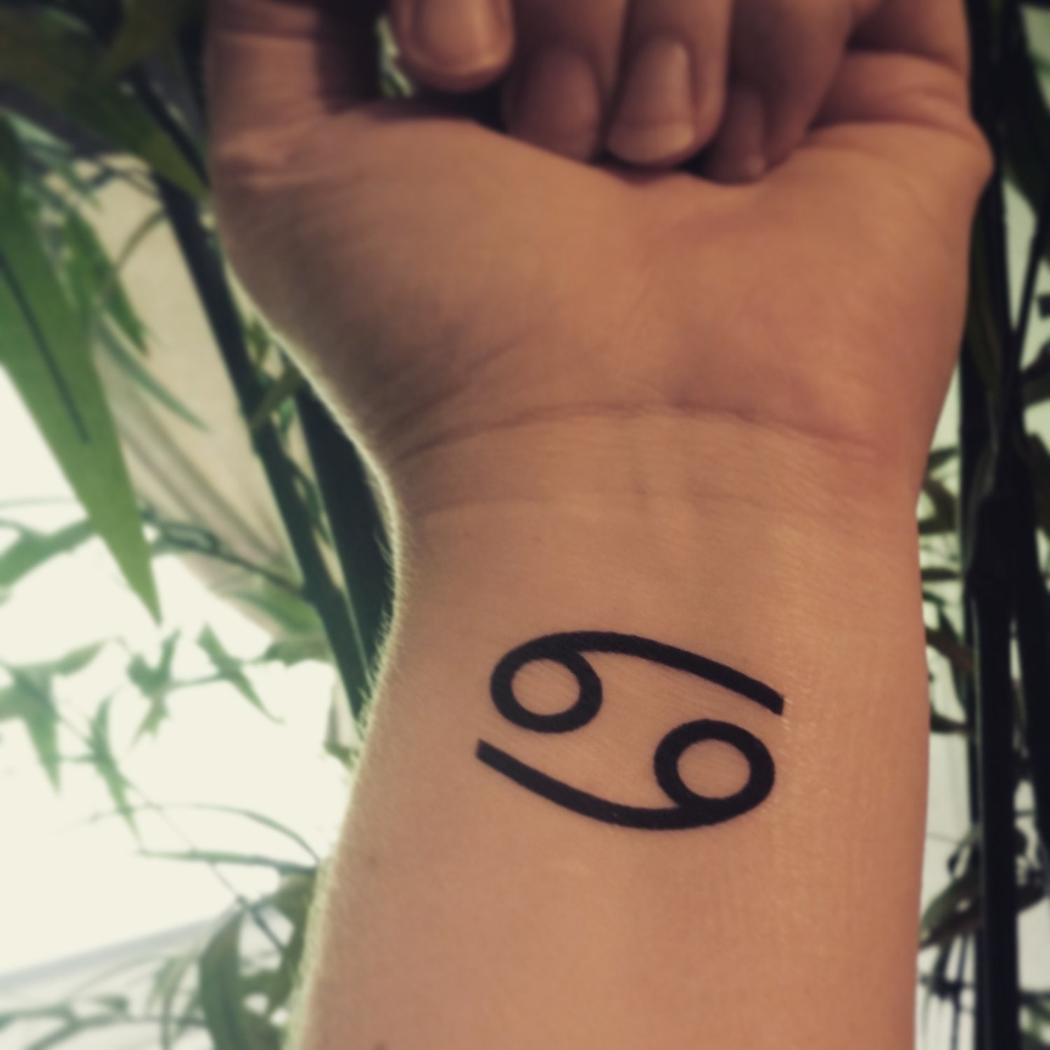 zodiac tattoo cancer zodiac temporary tattoo fake tattoos zodiac tattoo cancer zodiac temporary tattoo fake tattoos