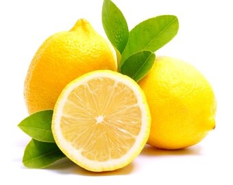Lemon Peel Bioferment (4oz) FREE Shipping! CLEARANCE SALE!