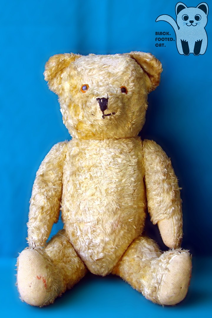 Antique vieux ours en peluche Vintage 1940 1950 entièrement