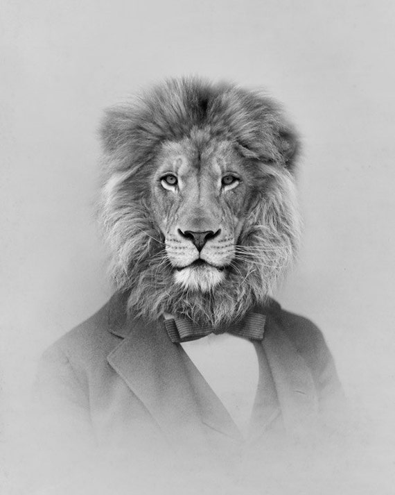 8x10 Vintage Animal Portrait, Anthropomorphic Lion collage
