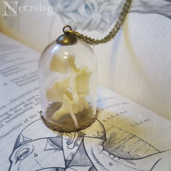 SALE Reliquary Necklace Bone Jewelry Oddities Curiosities