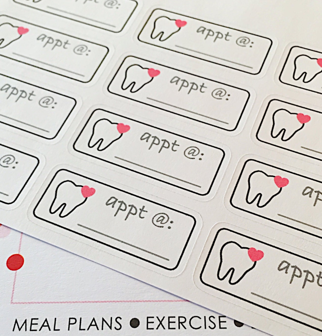 16 Dentist Appointment Reminder Planner Stickers Tooth