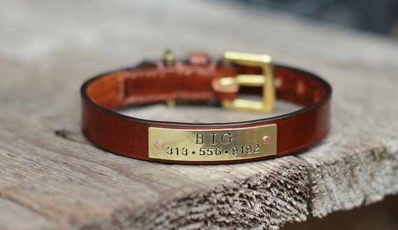 leather cat collar with nameplate reflective breakaway