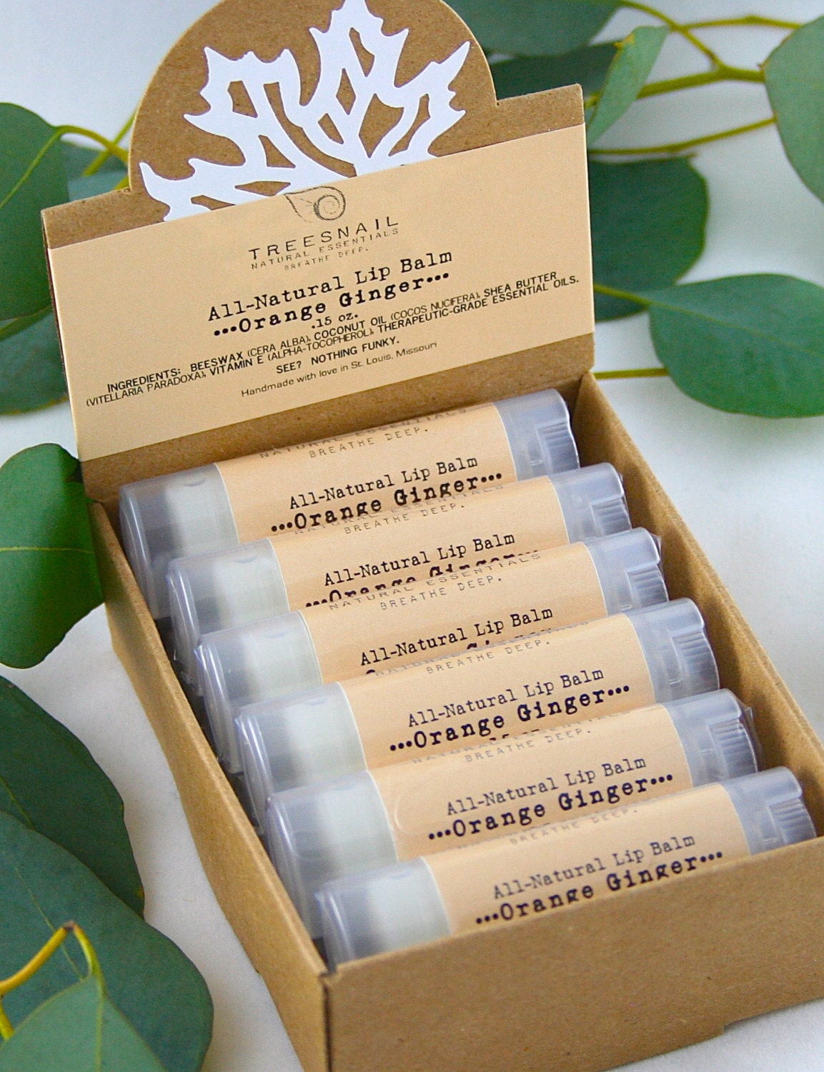 Set of 12 Lip Balms with Display Box Boutique Lip Balm Set