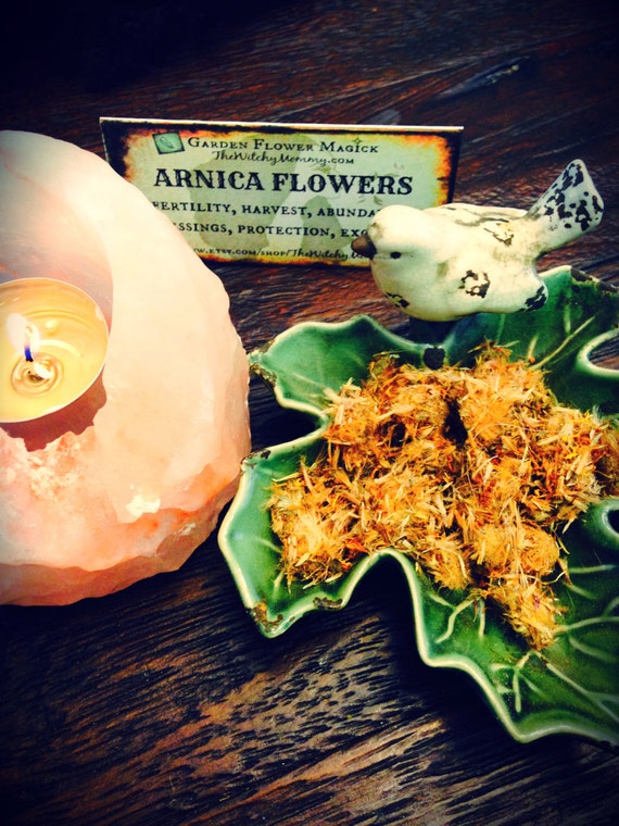 Dried+Arnica+Flowers ARNICA FLOWERS, Whole Flowers, Dried Herb, Loose Herb, Spiritual Herb ...