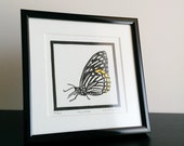 Original hand tinted linocut block print: "Monarch" - limited edition hand pulled fine art block print (5 x 5" - unframed)