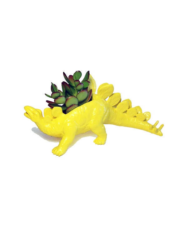 yellow stegosaurus