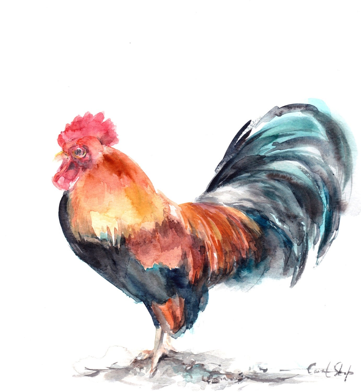 Rooster Original Watercolor Painting Rooster by CanotStop on Etsy