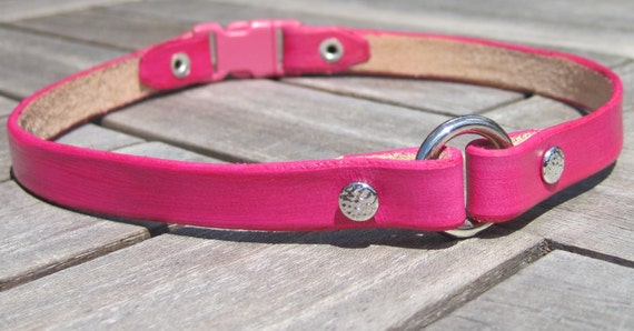breakaway dog collar breakaway dog collar