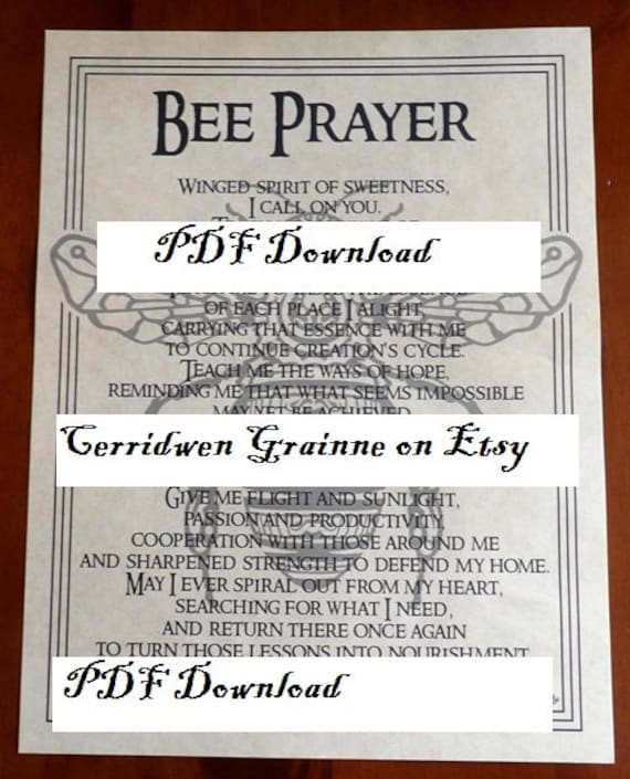 PDF Bee Prayer Bee Spirit BOS Witches Cupboard by CerridwenGrainne