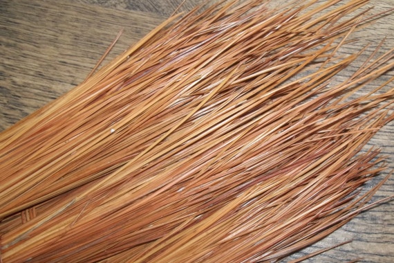 2 lbs 12 to 16 Inch Long Leaf Pine Needles for Pine Needle