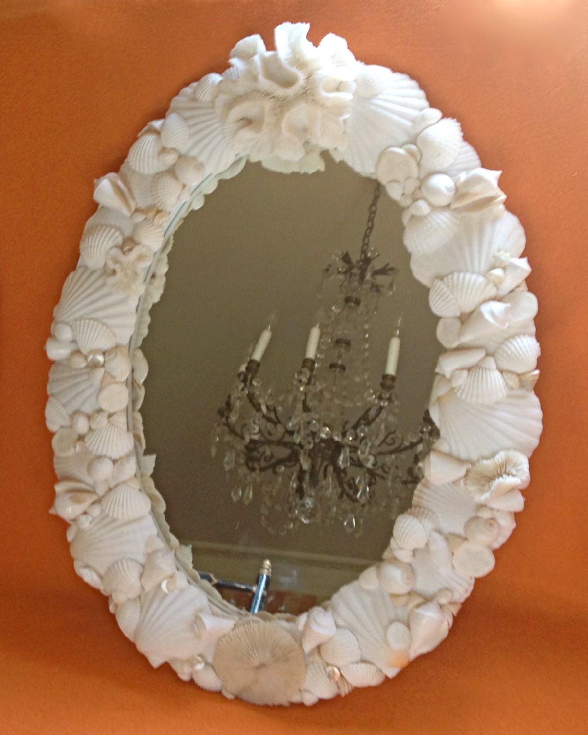 Beach Decor Seashell Mirror 18 x 24 Shell