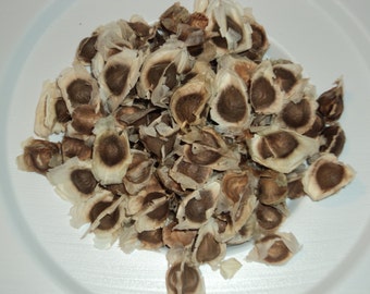 10-100 MORINGA SEEDS, Super Food!! "Tree of Life" malunggay, Moringa oleifera,Fun and Easy to grow,High nutrition, Feed the World & yourself