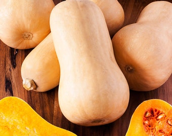 Waltham Butternut Squash - 30 seeds (Organic/non-GMO)
