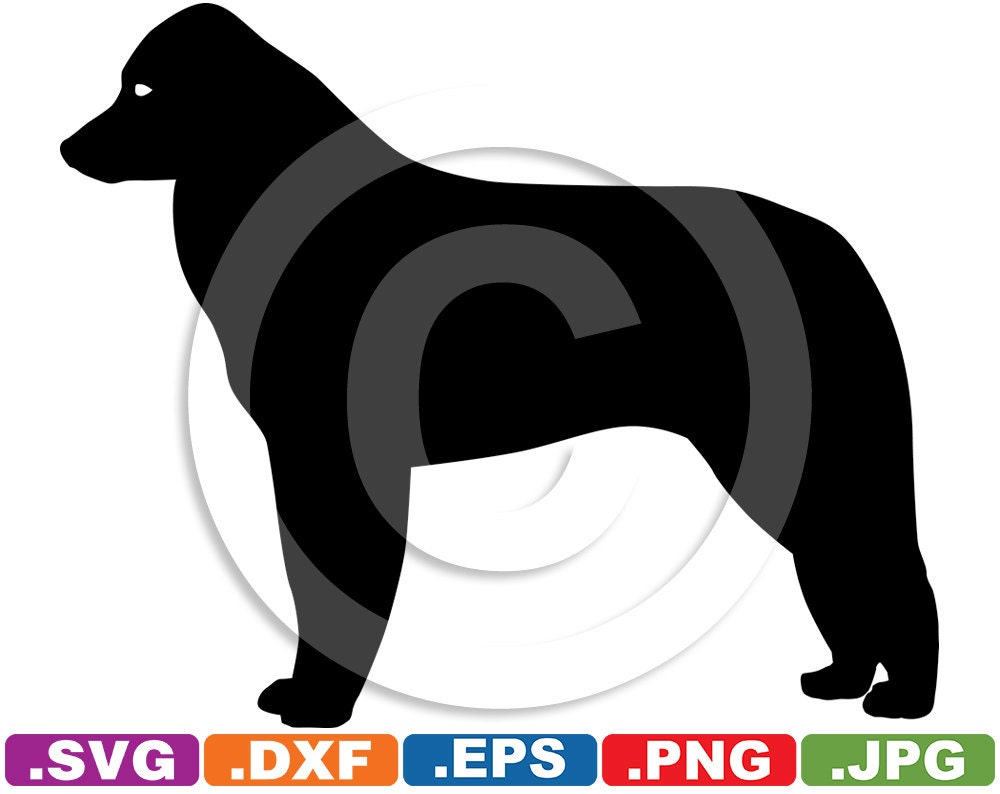 Download Kuvasz Dog Image File svg & dxf cutting files for Cricut and