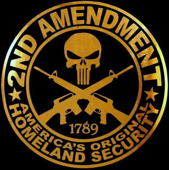 2nd Amendment Punisher Decal Vinyl Sticker