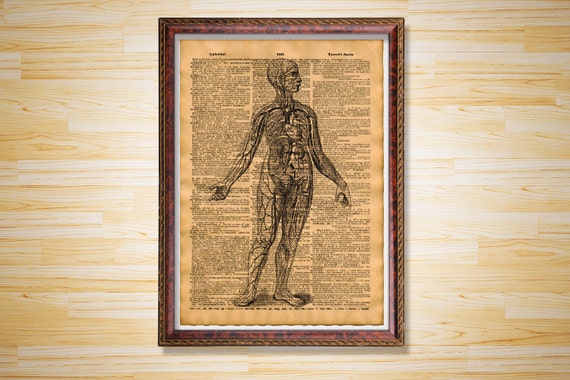 top 28 decor veins medical diagram eye upcycle recycle repurpose blood veins tribal elk top 28 decor veins medical diagram eye upcycle recycle repurpose blood veins tribal elk