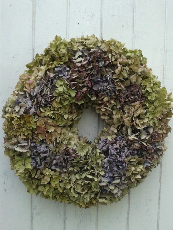 Dried hydrangea wreath