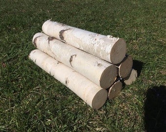 Six White Birch Logs 18" Free Shipping