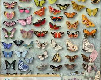 itKuPiLLi - Butterflies - 3 x Digital Collage Sheet ATC png - Printable, Instant download