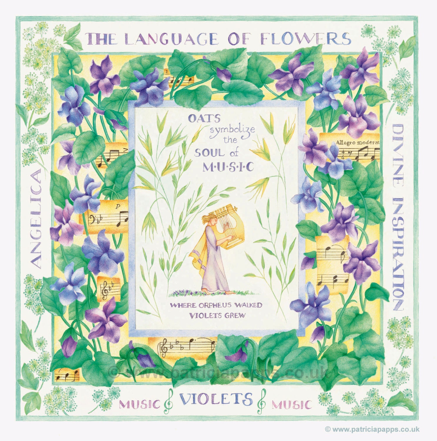 The Language of Flowers Violets