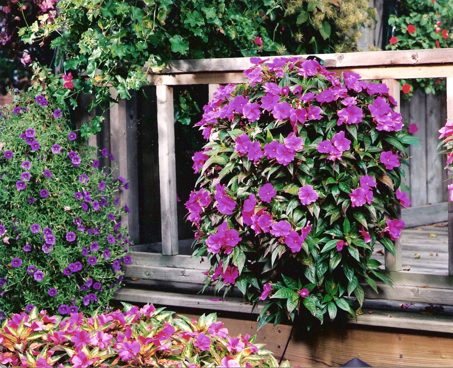 Request a custom order and have something made just for you.