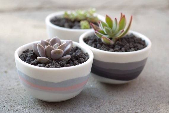 Porcelain Bowls With Striped