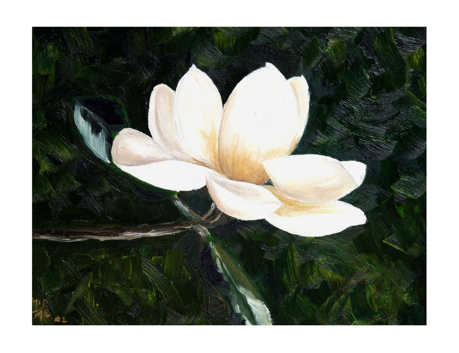 Magnolia Bloom Impressionistic Magnolia Oil Painting Oil on