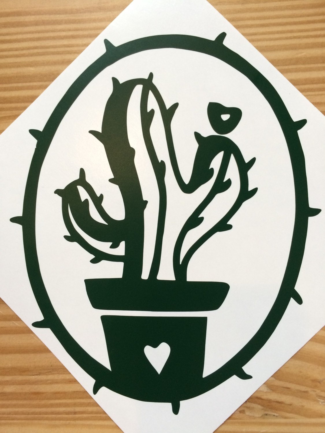 Cactus vinyl sticker decal car window sticker