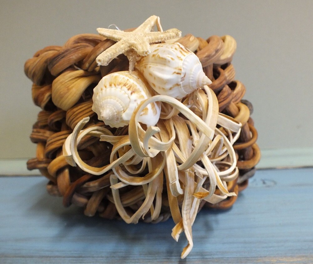 Seaweed Basket Woven Kelp Stipes with Sea Shells by InnerGarden