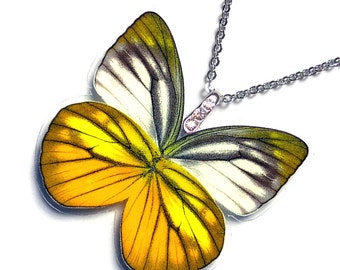 Real Butterfly Wing Necklace / Pendant (WHOLE Cepora Nadina Butterfly - W058)