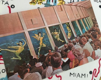 Vintage Weeki Wachee Florida mermaids postcard 1960s chrome souvenir Floridiana kitsch underwater auditorium