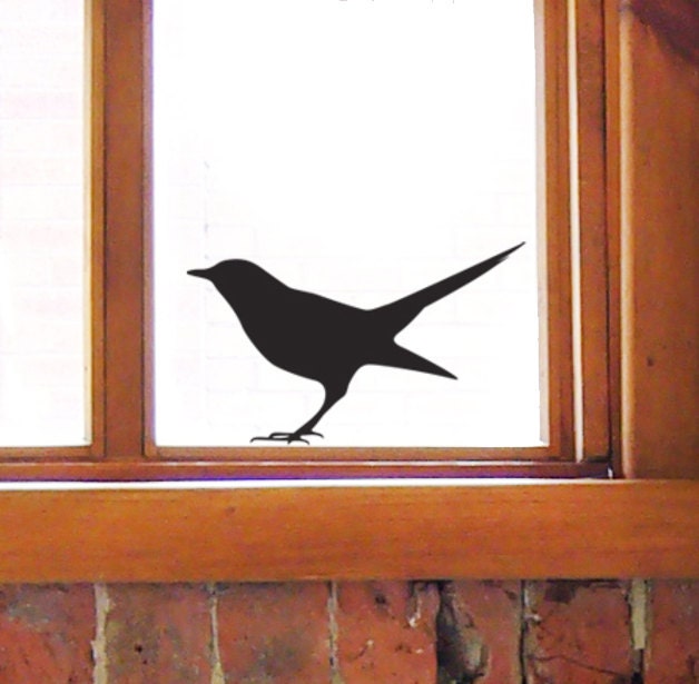 bird window stickers blackbird wall decals for bird lovers bird window stickers blackbird wall decals for bird lovers