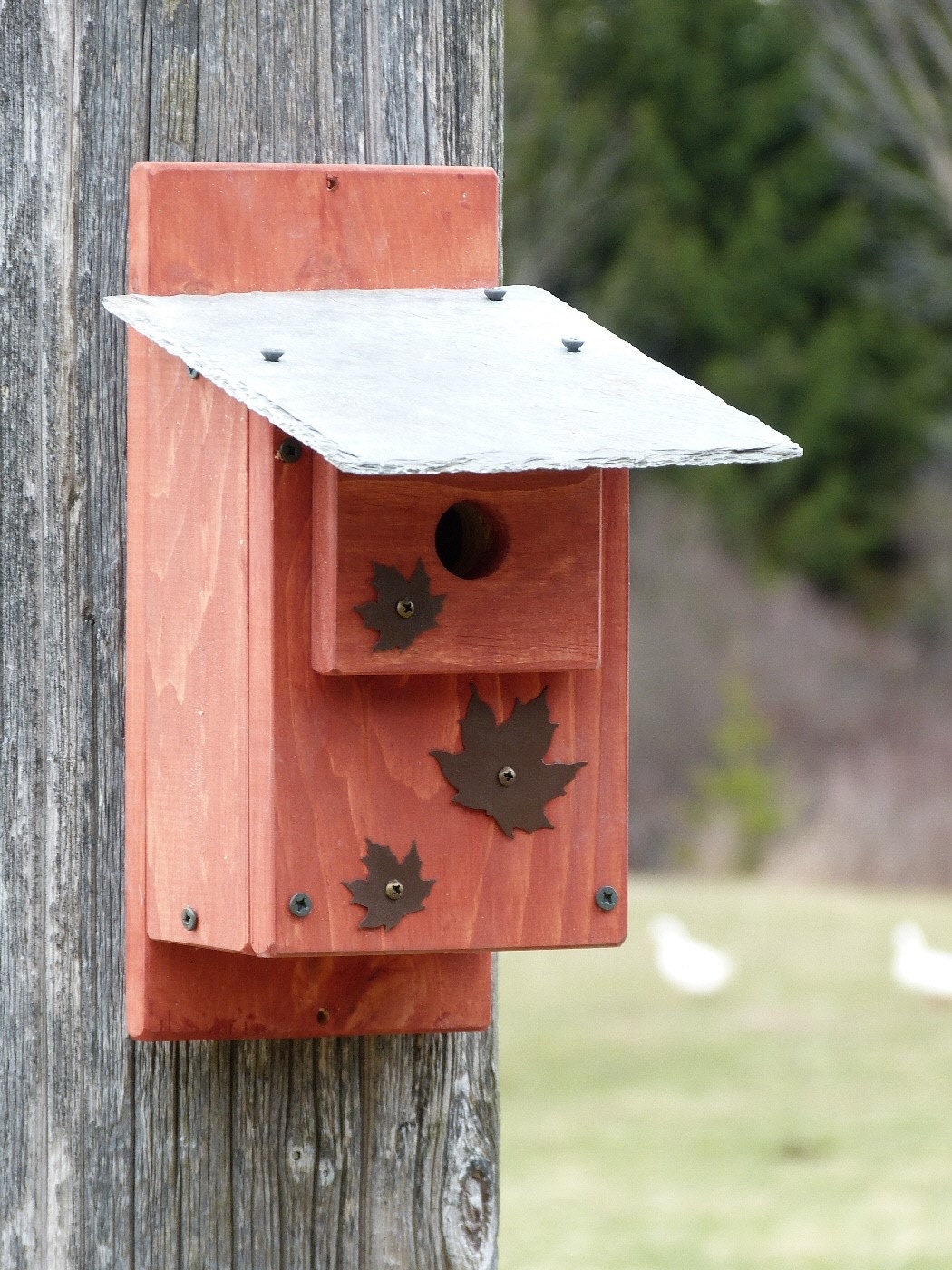 Wooden Rustic Outdoor chickadee house birdhouse by OutOnALimbADK
