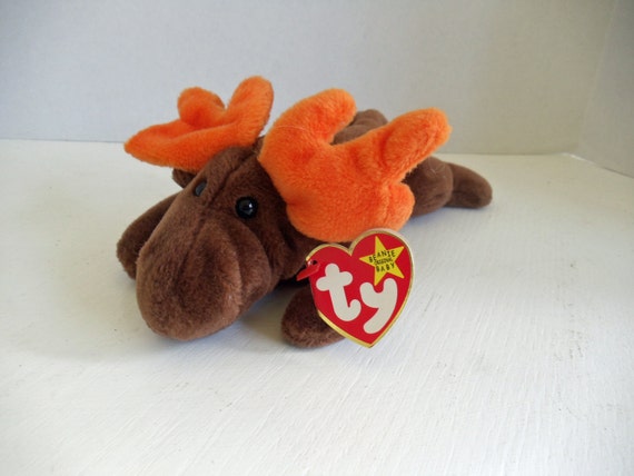 ty chocolate the moose