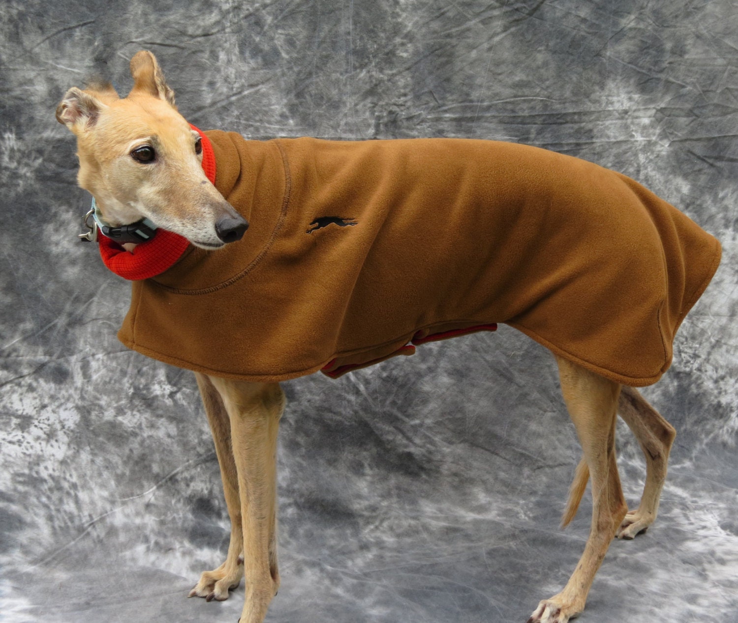 Greyhound Winter Coat reversible medium female