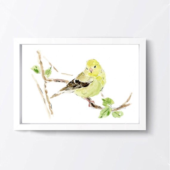Eastern goldfinch watercolor print goldfinch by TheJoyofColor