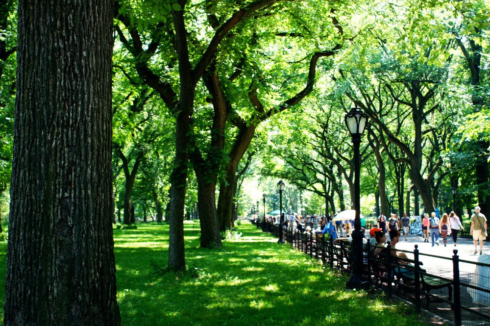 central park walk