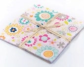 STORE CLOSING Sale Riley Blake Snapshots 5 inch Stacker (18 squares)