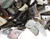 Black lip shell beads 1/2 pound pkg, approximately 750-900 beads