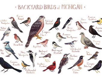 Michigan Backyard Birds Field Guide Art Print / Watercolor Painting / Wall Art / Nature Print / Bird Poster