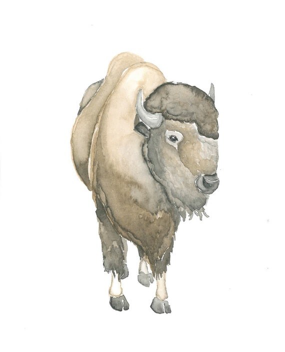 Buffalo Watercolor Print