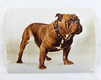 Vintage 1970's Mack Trucks Bulldog Print Never Used